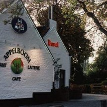 in den appelboom_01 in den appelboom_01