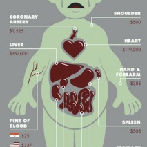 organesmarchénoir organesmarchénoir