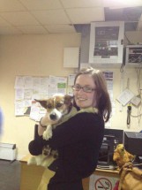 elle retrouve son chien grâce à twitter elle retrouve son chien grâce à twitter