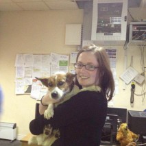 elle retrouve son chien grâce à twitter